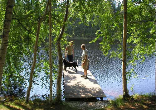 2003072004koivujenkatve