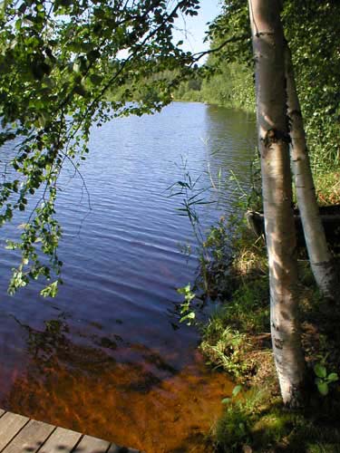 2003072005ranta