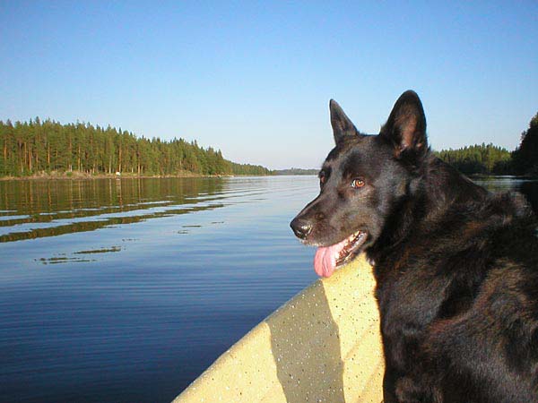 2003072401vaiskijarvella