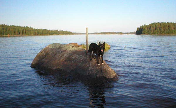 2003072402autiosaari