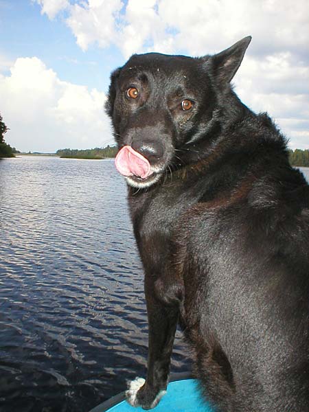 20030722keulakuva